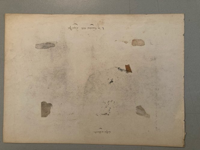 Drawing Dessin Mine De Plomb Crayon femme XIXe portrait 1880 Cheveux Ancien Old