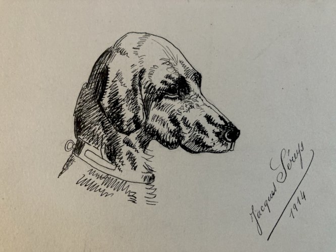 Drawing Dessin Peinture Encre Sur Papier 1914 Âne Animal Animaux Old Ancien Art