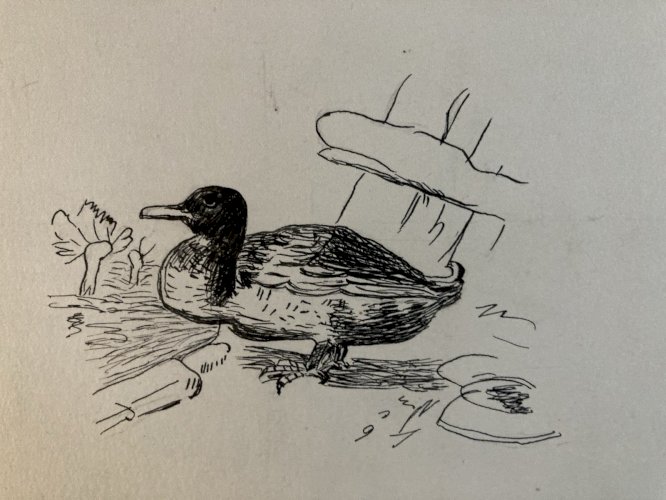 Drawing Dessin Peinture Encre Sur Papier 1914 Âne Animal Animaux Old Ancien Art