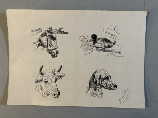 Drawing Dessin Peinture Encre Sur Papier 1914 Âne Animal Animaux Old Ancien Art