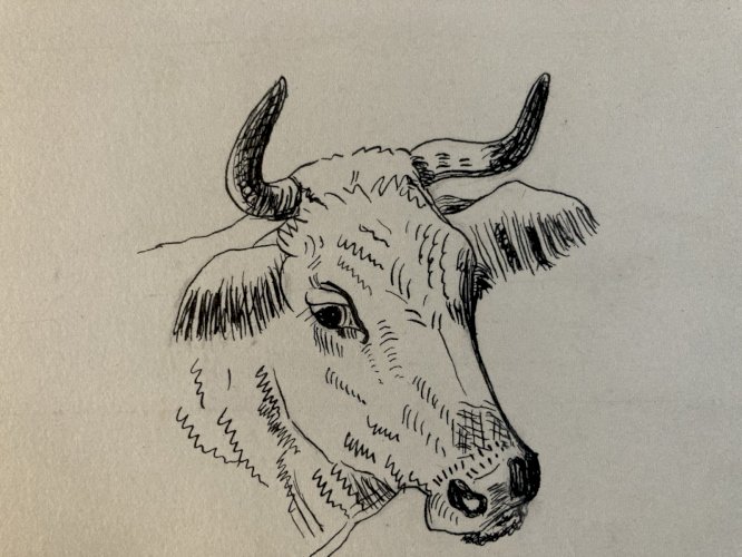 Drawing Dessin Peinture Encre Sur Papier 1914 Âne Animal Animaux Old Ancien Art