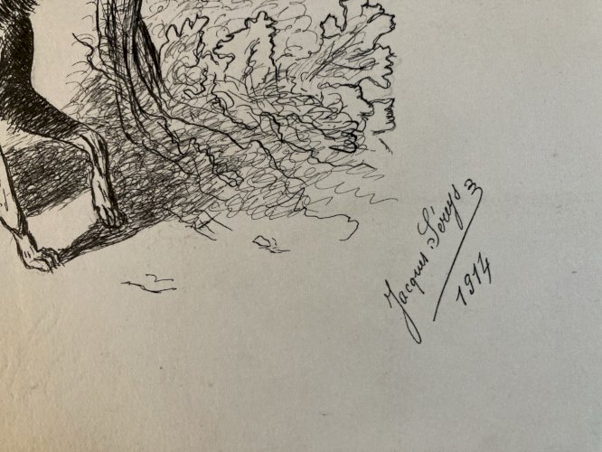 Drawing Dessin Peinture Encre Sur Papier 1914 Loup Animal Animaux Old Ancien Art