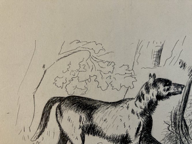 Drawing Dessin Peinture Encre Sur Papier 1914 Loup Animal Animaux Old Ancien Art