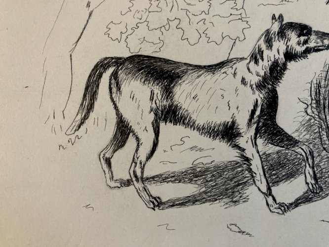 Drawing Dessin Peinture Encre Sur Papier 1914 Loup Animal Animaux Old Ancien Art