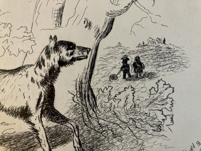 Drawing Dessin Peinture Encre Sur Papier 1914 Loup Animal Animaux Old Ancien Art