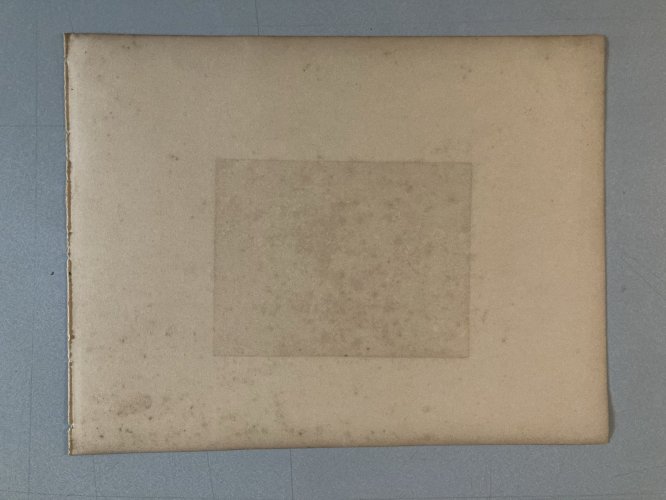 Drawing Dessin Peinture Lavis Encre Sur Papier XIXe 1850 Chat Animal Animaux Old