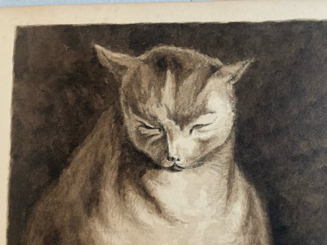 Drawing Dessin Peinture Lavis Encre Sur Papier XIXe 1850 Chat Animal Animaux Old