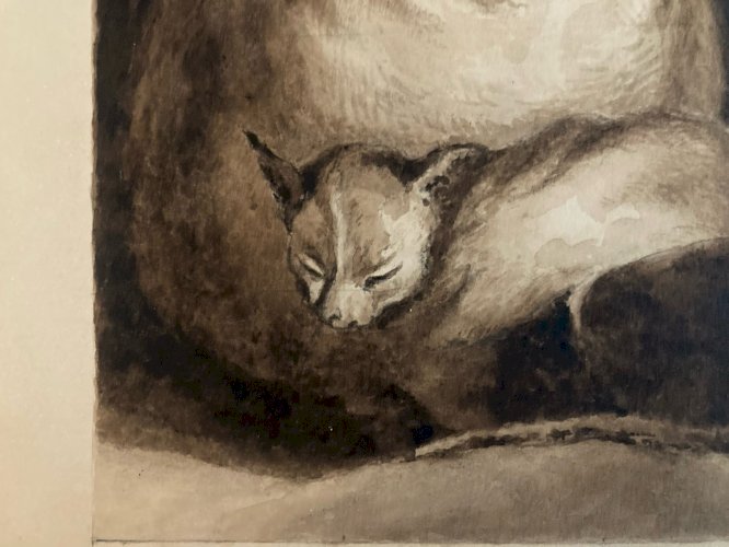 Drawing Dessin Peinture Lavis Encre Sur Papier XIXe 1850 Chat Animal Animaux Old