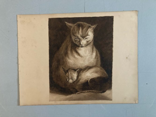 Drawing Dessin Peinture Lavis Encre Sur Papier XIXe 1850 Chat Animal Animaux Old