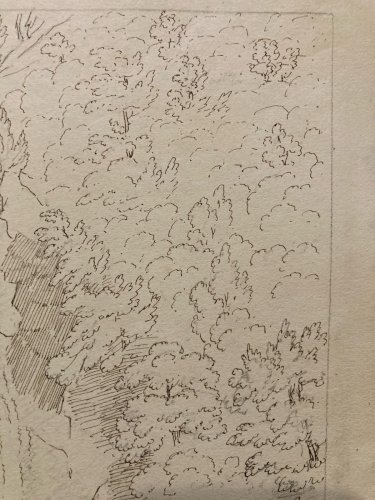 Drawing Dessin XIXe 1850 Encre Cascade De Chede Nature Ancien Suisse Chute Eau