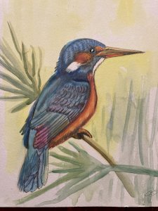 Drawing Original Dessin 1950 Peinture Papier Gouache Oiseau Martin Pêcheur Art