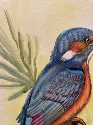 Drawing Original Dessin 1950 Peinture Papier Gouache Oiseau Martin Pêcheur Art