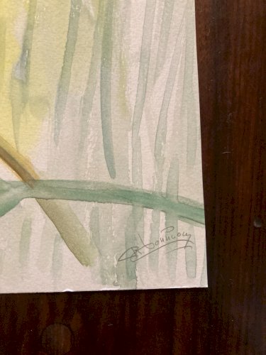 Drawing Original Dessin 1950 Peinture Papier Gouache Oiseau Martin Pêcheur Art