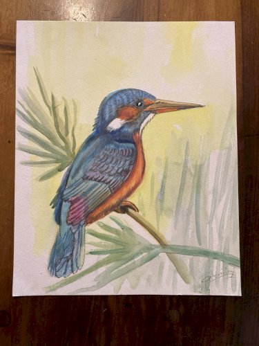 Drawing Original Dessin 1950 Peinture Papier Gouache Oiseau Martin Pêcheur Art