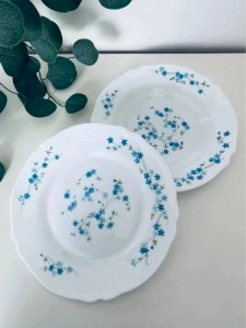 Duo Assiettes Arcopal Myosotis Vintage - 1 Plate & 1 Creuse