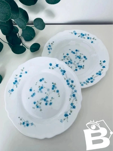 Duo Assiettes Arcopal Myosotis Vintage - 1 Plate & 1 Creuse