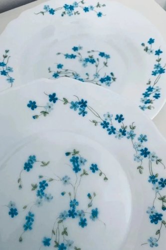 Duo Assiettes Arcopal Myosotis Vintage - 1 Plate & 1 Creuse