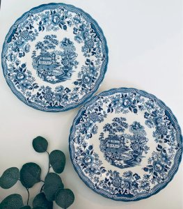 Duo Assiettes Plates Vintage Myott Meakin Angleterre