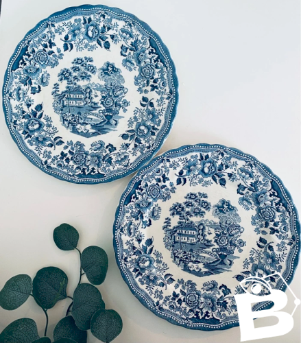 Duo Assiettes Plates Vintage Myott Meakin Angleterre