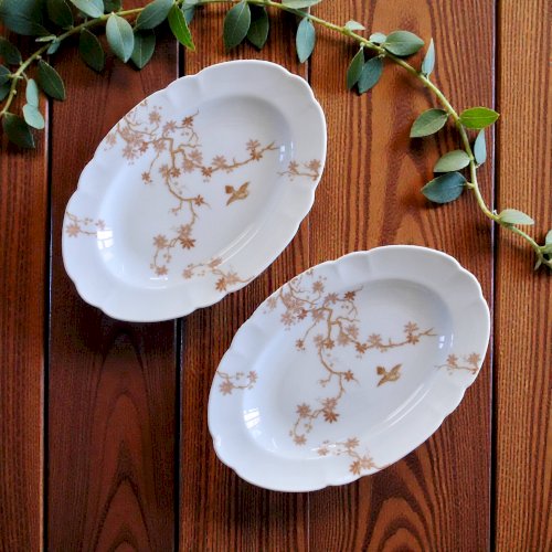 Duo de raviers anciens en porcelaine de Limoges Haviland décor oiseau