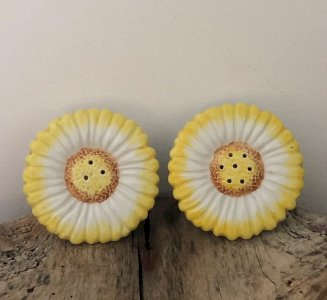 Duo sel/poivre en forme de fleurs