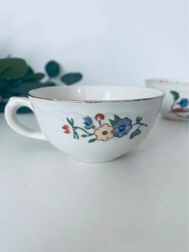 Duo Tasses Anciennes Boch Frères La Louvière Oiseau de Paradis