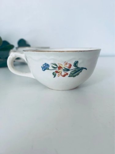 Duo Tasses Anciennes Boch Frères La Louvière Oiseau de Paradis