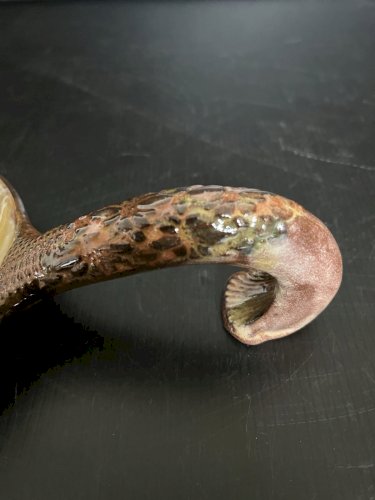 ecuelle vide poche terre cuite vernissée signé P du Cabirou  Aude Languedoc