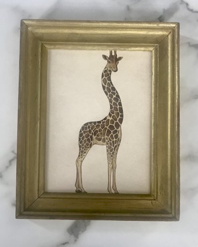 Encadrement illustration girafe