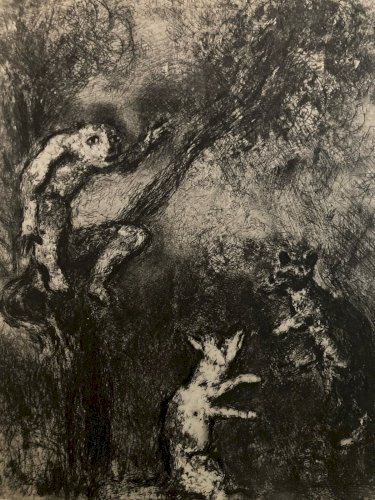 Engraving Gravure Eau Forte Marc Chagall Le Loup, Le Renard Et Le Singe 1952 Art