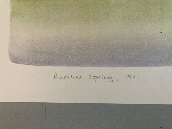 Engraving Gravure Jean Michel Folon XXe Lithographie Art 1970 Ancien Arbre Old