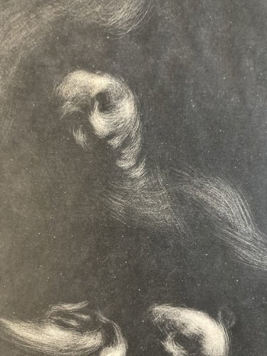 Engraving Gravure Original Portrait Tolstoï Femme Ancien 1901 Estampe Old Art