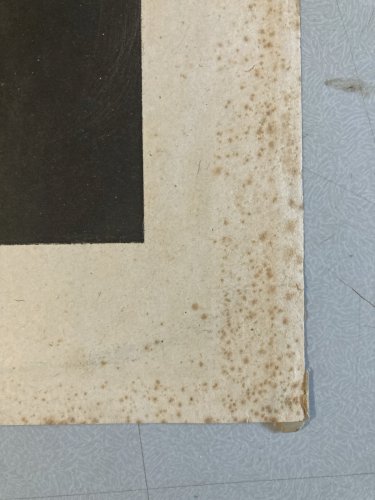 Engraving Gravure Original Portrait Tolstoï Femme Ancien 1901 Estampe Old Art