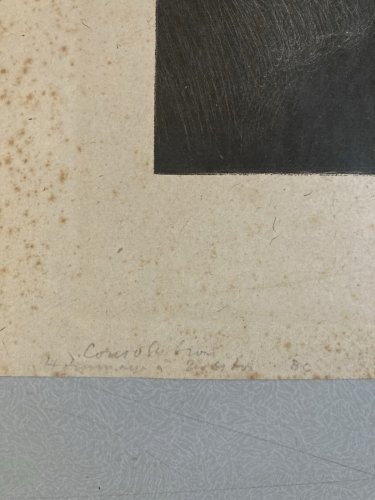 Engraving Gravure Original Portrait Tolstoï Femme Ancien 1901 Estampe Old Art