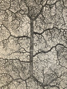 Engraving surrealist Signed Varieras 1969 Surrealism 20th Tree Art