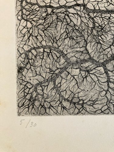 Engraving gravure Surréaliste Signé Varieras 1969 Surréalisme XXe Arbre Art