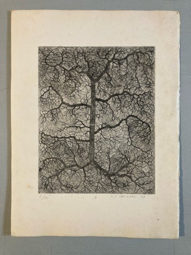 Engraving gravure Surréaliste Signé Varieras 1969 Surréalisme XXe Arbre Art