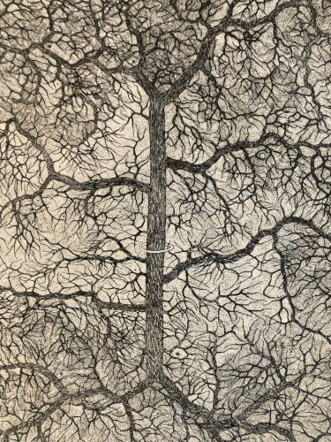 Engraving gravure Surréaliste Signé Varieras 1969 Surréalisme XXe Arbre Art