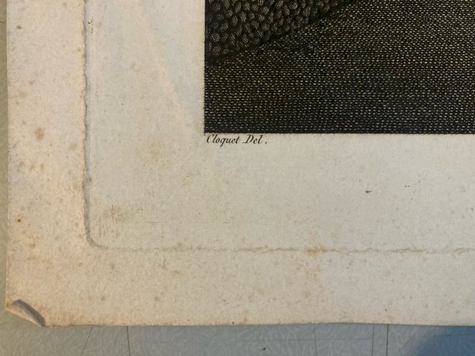 Engraving gravure XIXe Catacombes Pairs Original Curiosité Mémento Curiosa Crane