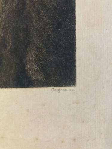 Engraving Gravure XIXe Estampe Ancien Muffel Albrecht Dürer Peintre Portrait