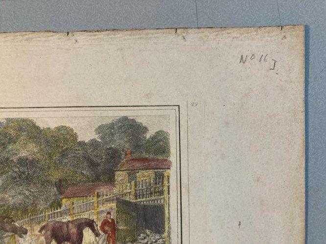 Engraving Lithographie  XIXe Chasse À Cours Cheval Chien A Identifier 1812 Art