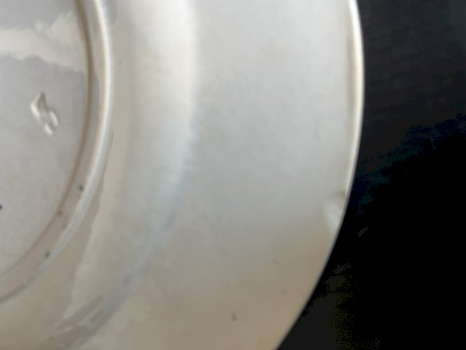 ensemble de 6 assiettes décor oiseaux marque  bourgeois paris et franco anglaise