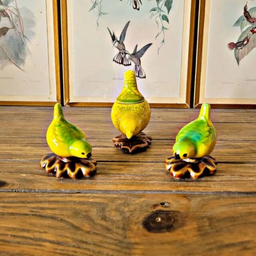 Ensemble salière poivrier et moutardier en barbotine forme oiseau