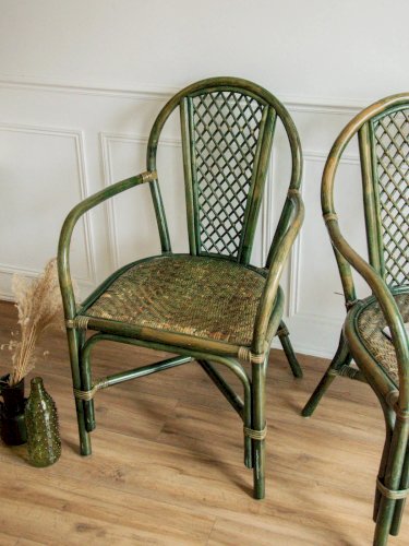 Ernest, la paire de fauteuils en rotin vert N°557