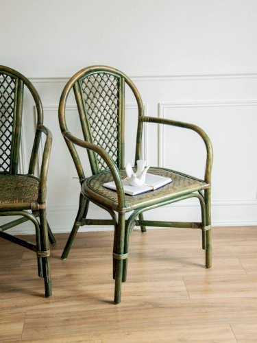 Ernest, la paire de fauteuils en rotin vert N°557
