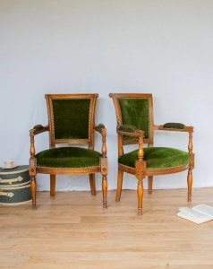 Ernest, the pair of velvet armchairs No. 649