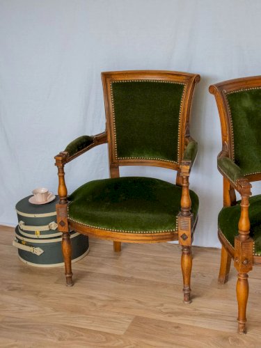 Ernest, la paire de fauteuils en velours N°649