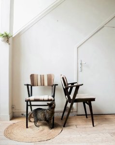 Ernest, le fauteuil en bois N°141