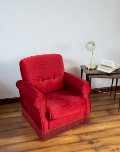 Ernest, le fauteuil en velours N°610