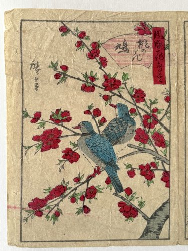Estampe Japonaise 1805 Shigemasa - Atelier Bawo & Dotter Limoges